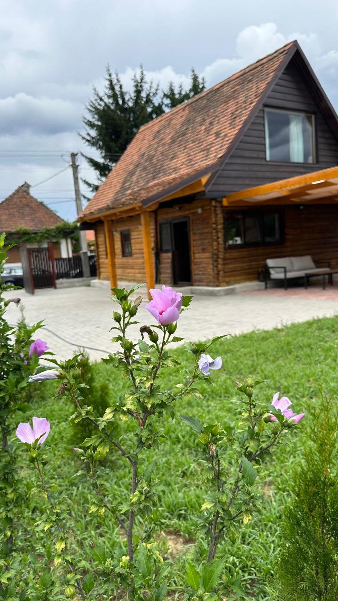 Casuta Cu Tihna Villa Порумбаку де Сус Екстериор снимка